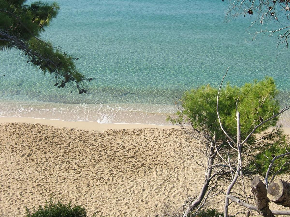 Anna'S Studios Argostoli  Zewnętrze zdjęcie