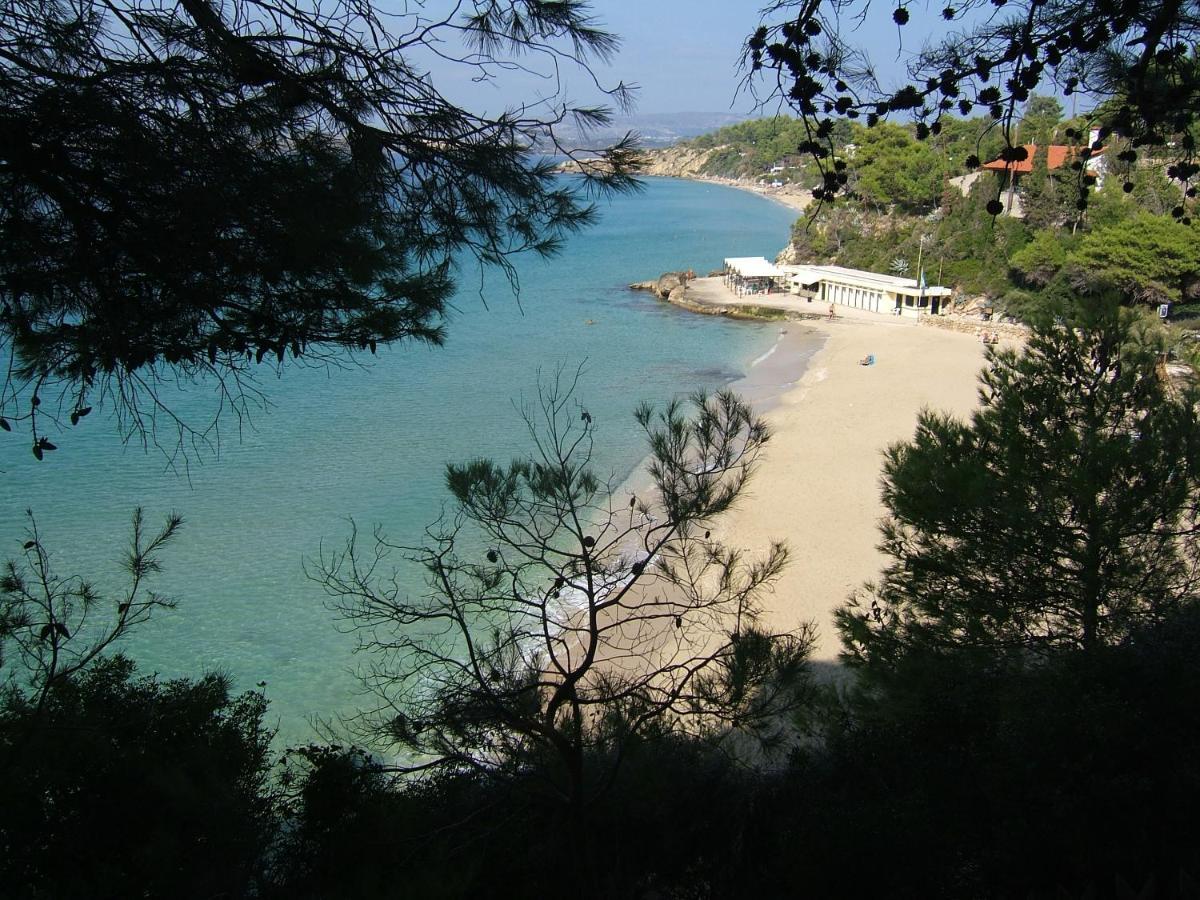 Anna'S Studios Argostoli  Zewnętrze zdjęcie