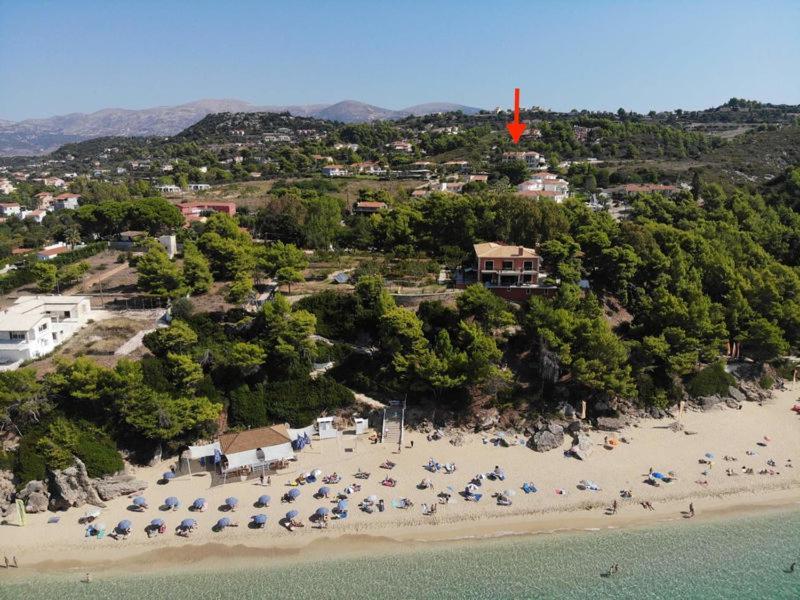 Anna'S Studios Argostoli  Zewnętrze zdjęcie